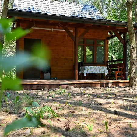 Letniskowy * Marksewo