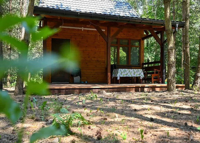 Letniskowy * Marksewo